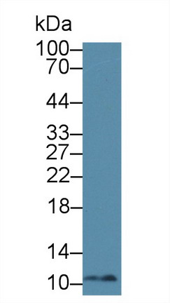 8493