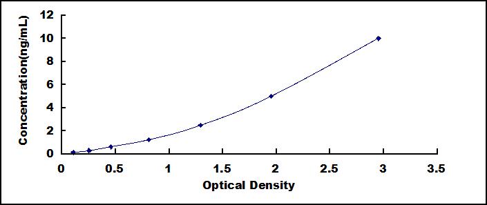 33704