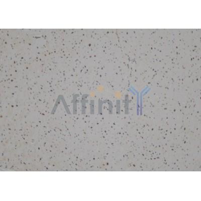 Валидация Affinity DF4823 - 16580
