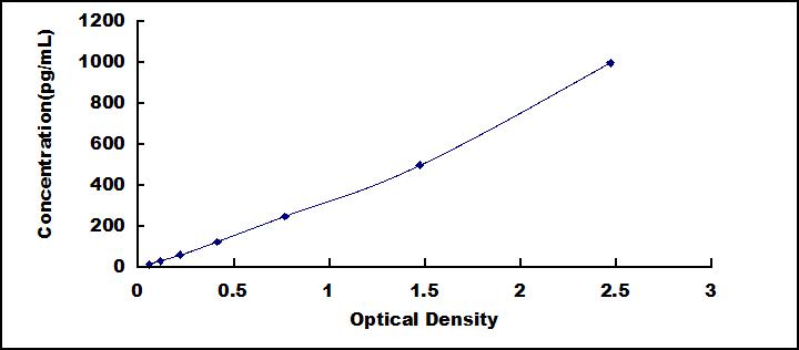 62156