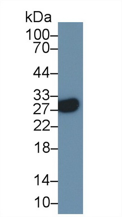 14770