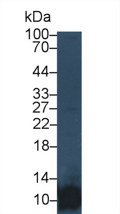 17837
