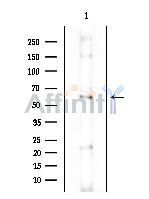 Валидация Affinity DF6692 - 18193