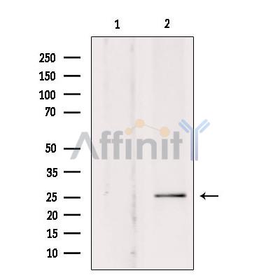 Валидация Affinity DF7753 - 19559