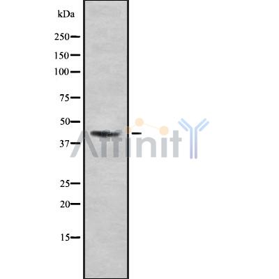 Валидация Affinity DF8258 - 20095