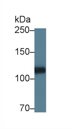 8780