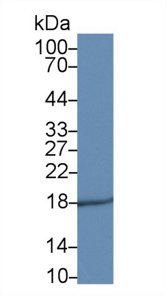 38946