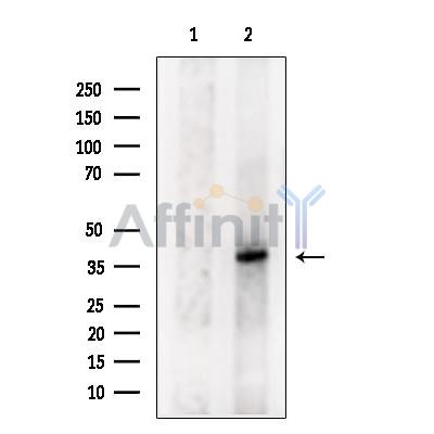 Валидация Affinity DF9485 - 22093