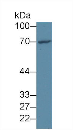 8508