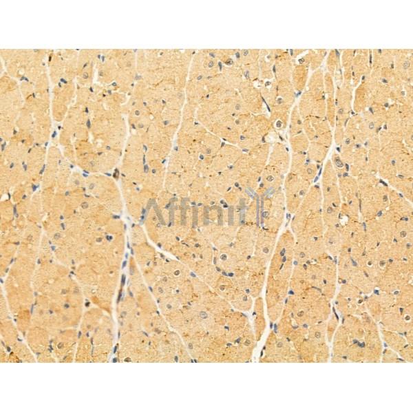 Валидация Affinity DF13120 - 8033