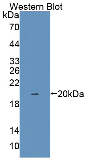 58863
