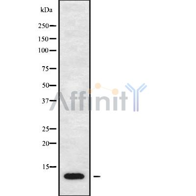 Валидация Affinity DF9913 - 22888
