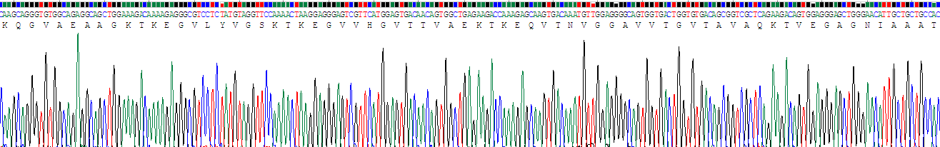 19784