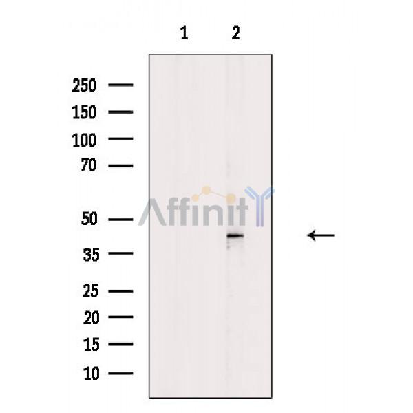 Валидация Affinity AF6720 - 3974
