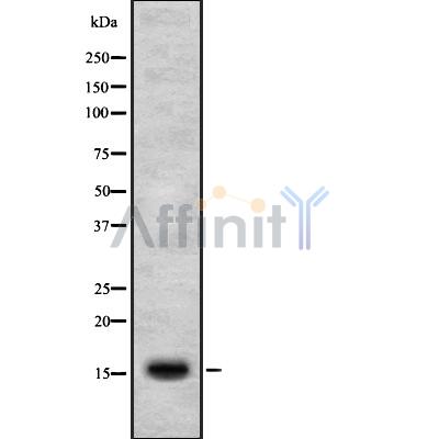 Валидация Affinity DF8670 - 20640