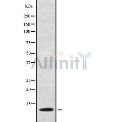 Валидация Affinity DF10148 - 5672