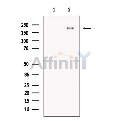 Валидация Affinity DF13371 - 8607