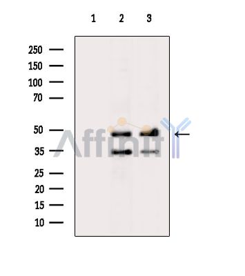 Валидация Affinity DF14475 - 10455