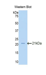 48701