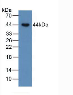 6394