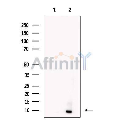 Валидация Affinity DF13350 - 8555