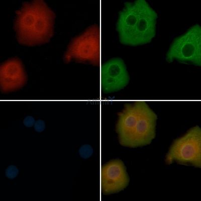Валидация Affinity DF12019 - 6034