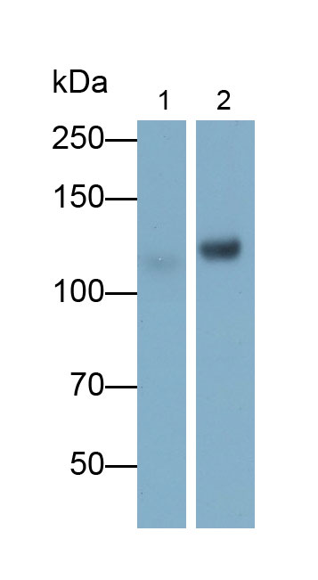 13220