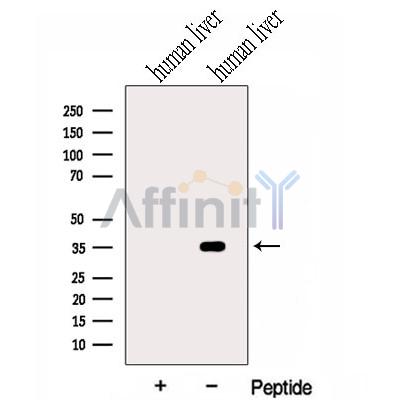 Валидация Affinity DF13073 - 7941