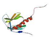 Adrenergic Receptor Beta Kinase 1 (ADRbK1)