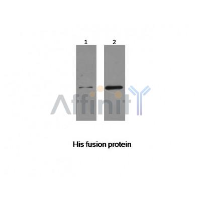 Валидация Affinity T0051 - 23071