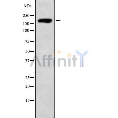 Валидация Affinity DF9479 - 22080
