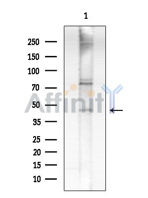 Валидация Affinity DF14827 - 10937