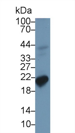 13746