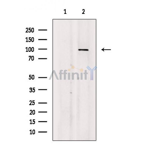 Валидация Affinity AF6792 - 4034