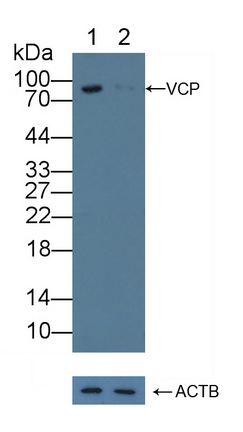 12222