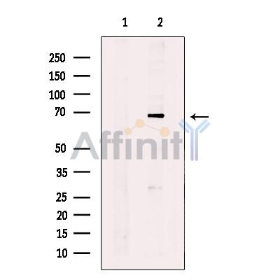 Валидация Affinity DF12104 - 6225
