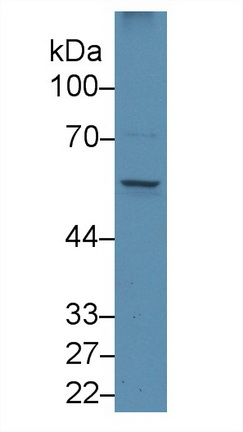 39349