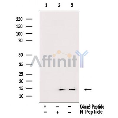 Валидация Affinity DF6935 - 18546