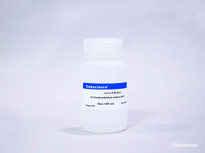 Фото Elabscience E-IR-R113