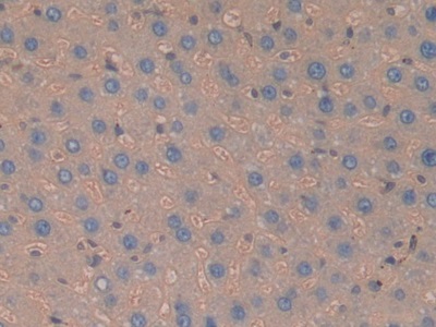 11486
