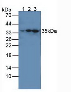 5483