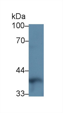 8393