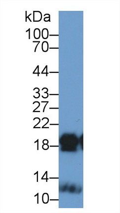 13393