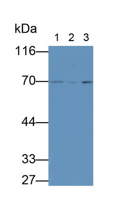 28350