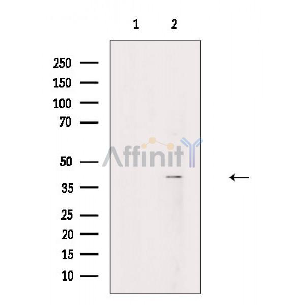 Валидация Affinity DF2313 - 12880