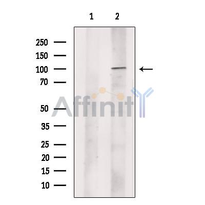 Валидация Affinity DF13505 - 8898