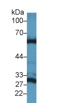 10329