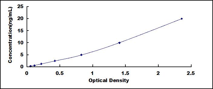 55264
