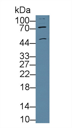 8974