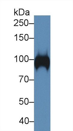 13934